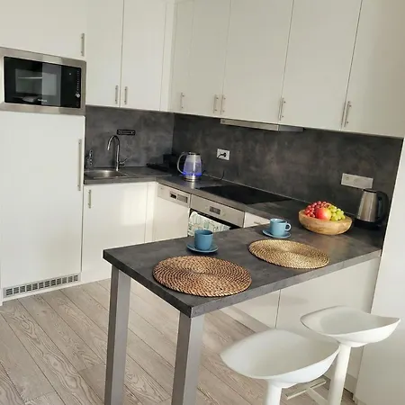 Διαμέρισμα Karlin Executive - Standing Desk, Monitor & Garage Πράγα