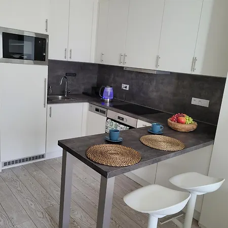 Apartman Karlin Executive - Standing Desk, Monitor & Garage Prága